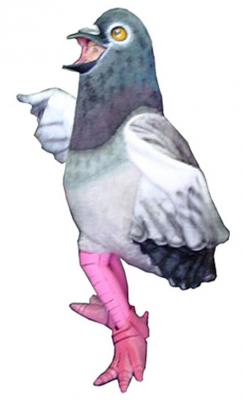 c269-pigeon