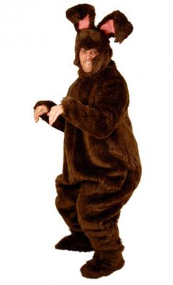 c491-brownbunnyopenface